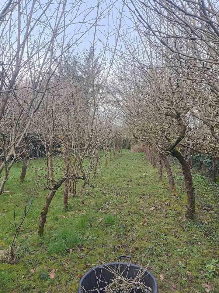 Aménagement d'espace vert Dinan 