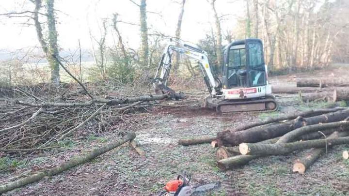 Élagage d’arbre Dinan