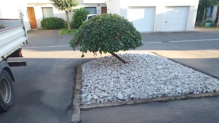 Entretien de massifs Dinan