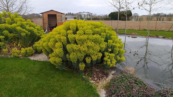 Création de massifs Dinan