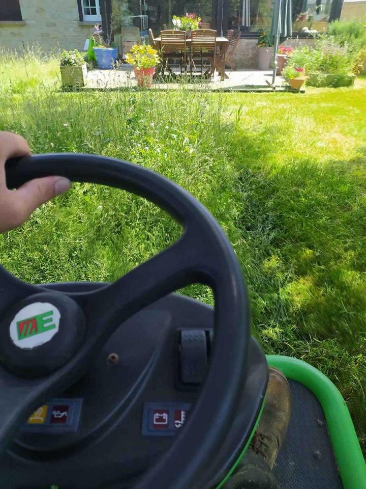 Création d'espace vert Dinan