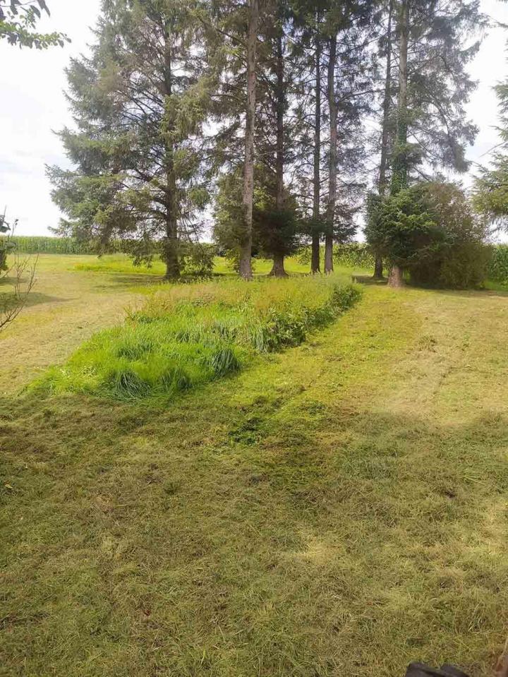 Aménagement d'espace vert Dinan 