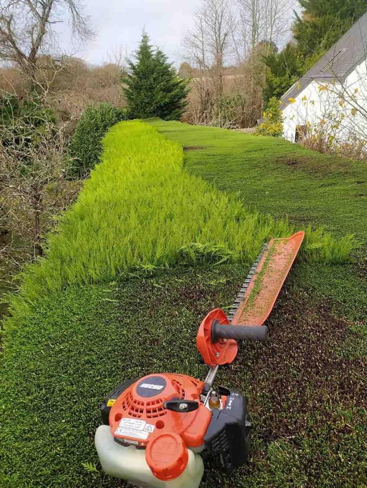 Aménagement d'espace vert Dinan 