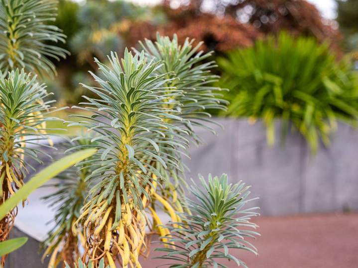 ARTHUR PAYSAGE SERVICES SARL 24