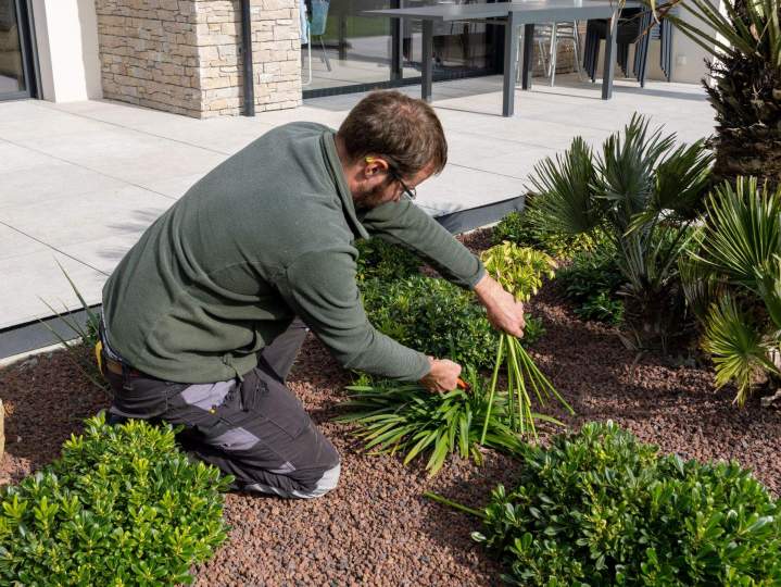 ARTHUR PAYSAGE SERVICES SARL 38