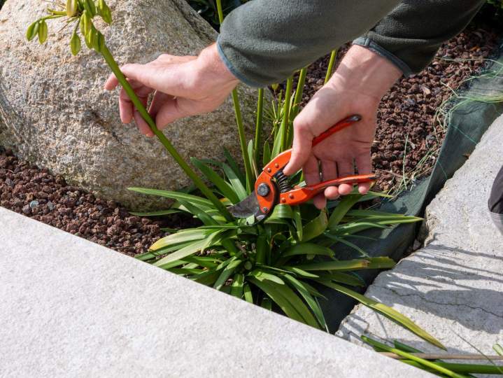 ARTHUR PAYSAGE SERVICES SARL 40