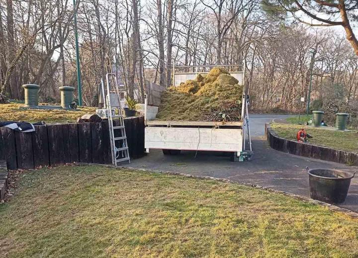 Élagage d’arbre Dinan 