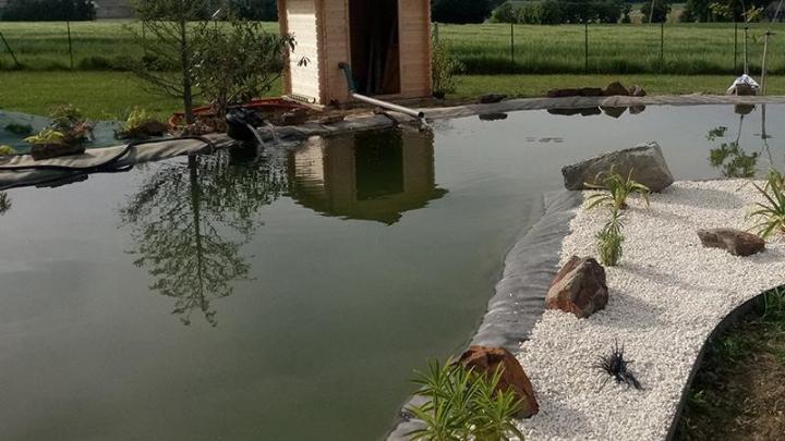 Création de massifs Dinan