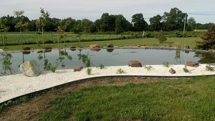 Création de massifs Dinan